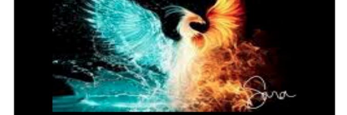 LadiLazz's profile banner image