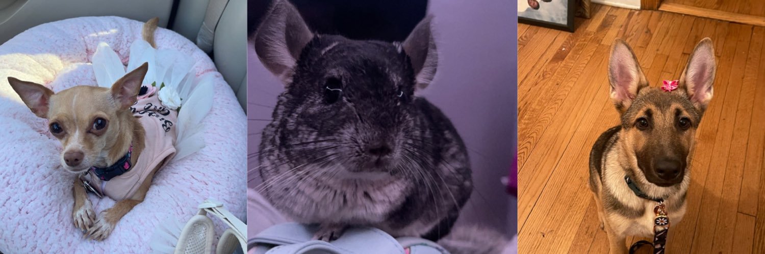 khaleesiashonna's profile banner image
