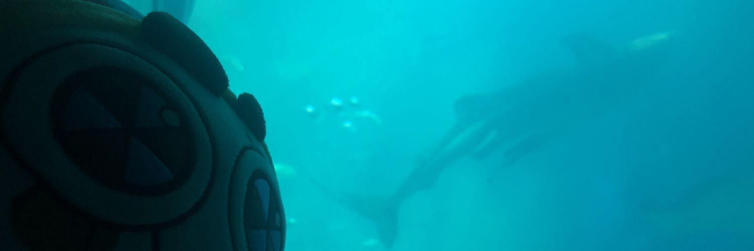 Panorama (finding my style)'s banner