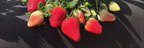 vance_whitaker Profile Banner