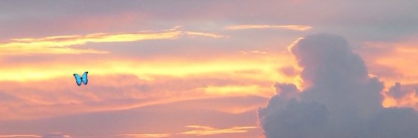 OhayoS Profile Banner