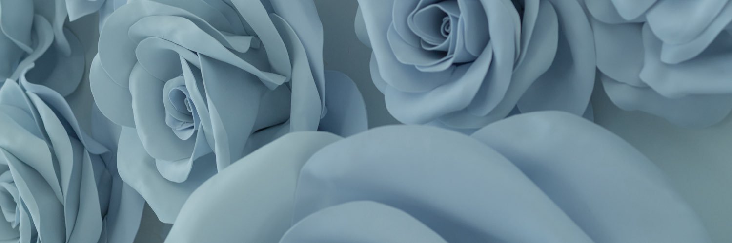 mikuni_Camera's profile banner image
