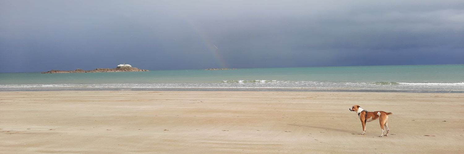 Archivictor 💻 banner