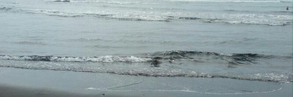 Caro.Javo 🇨🇱 banner