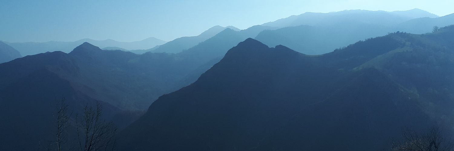 Ecoinnersense's profile banner image