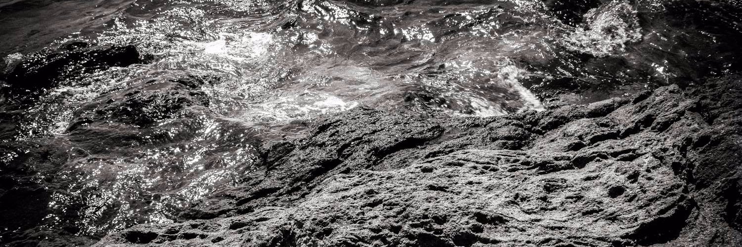 Claudia Pajewski banner