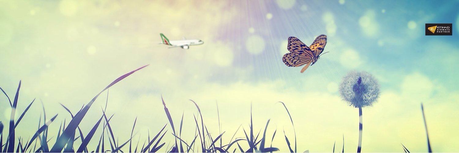 emma_dami's profile banner image