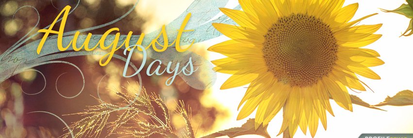 docress's profile banner image