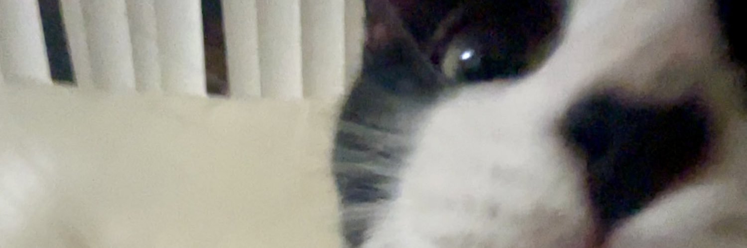 andyortizn's profile banner image
