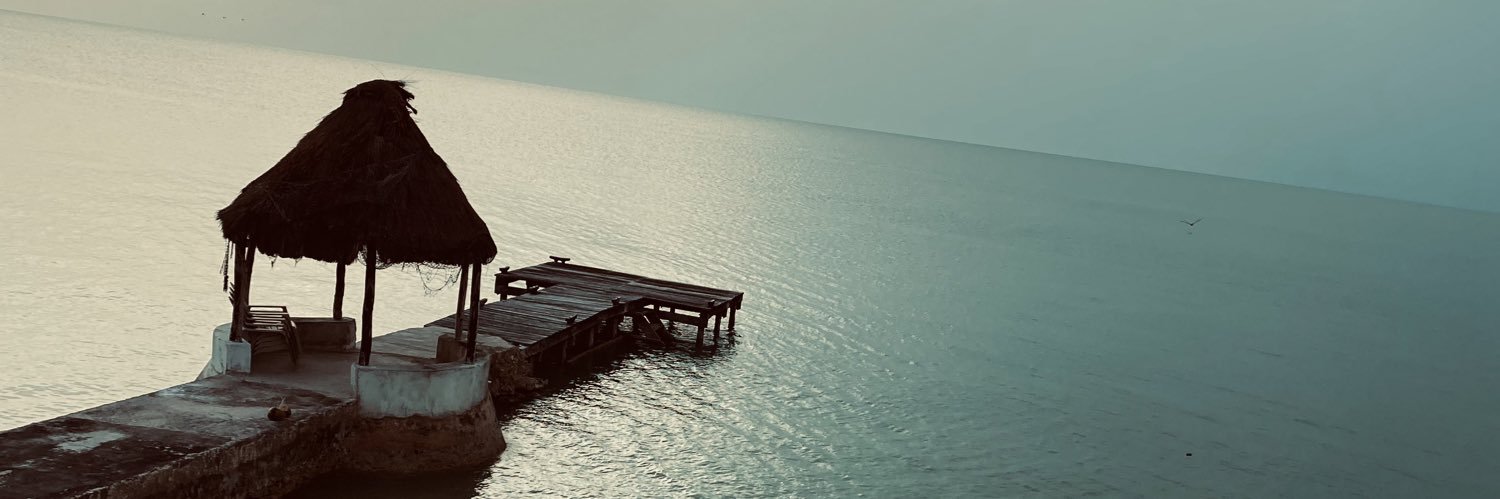 Alejandro Sadek banner