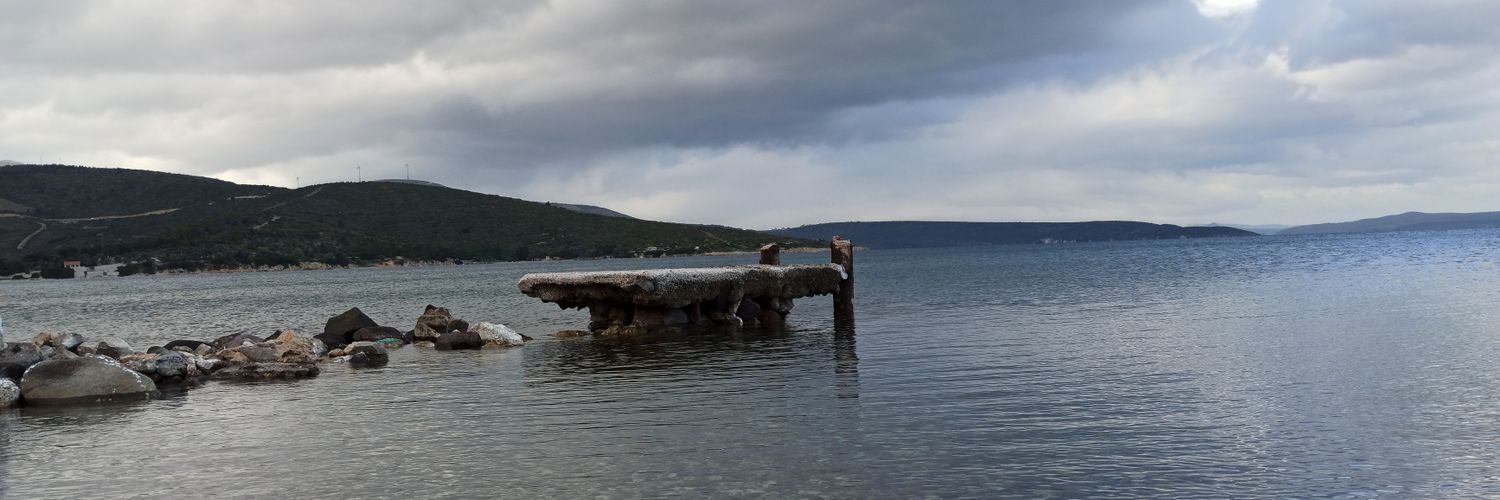 ozlemalaca's profile banner image