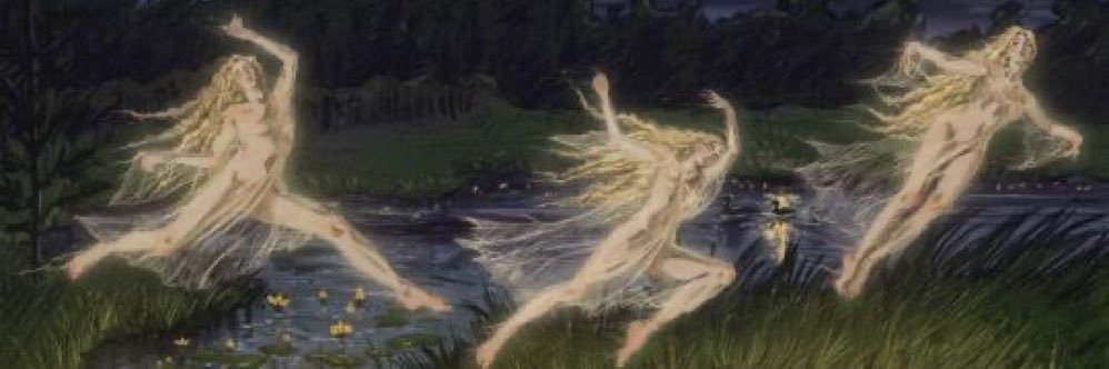 taralabera's profile banner image