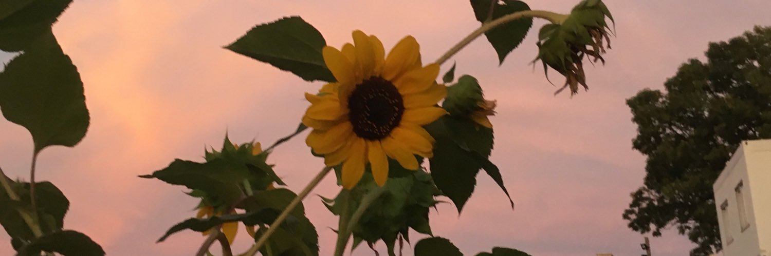 holyemoIy's profile banner image