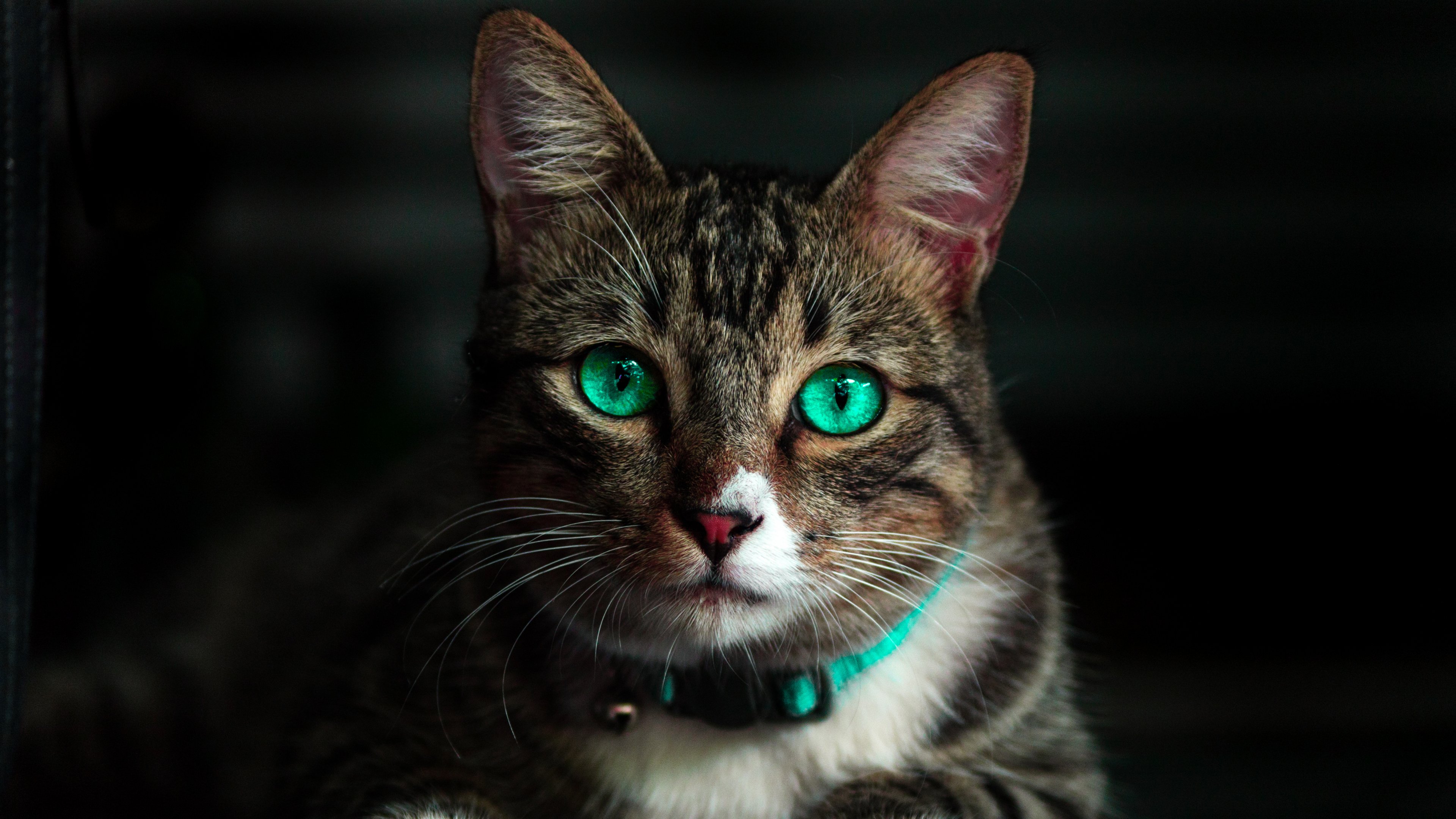 MaJoGaMeCa's profile banner image