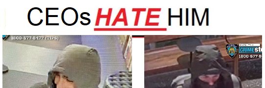 Moon Cheese Truther banner