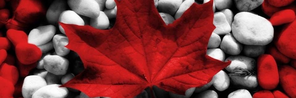 JenuineTeacher's profile banner image