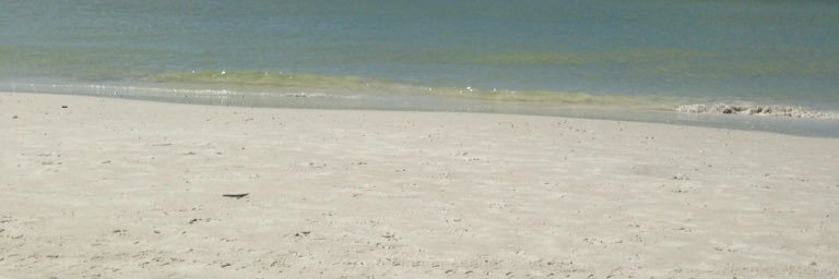deweyauto's profile banner image