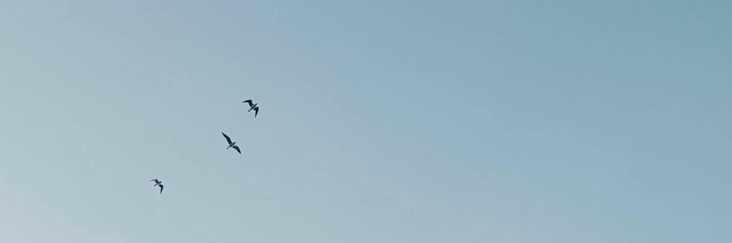 esra_znk's profile banner image
