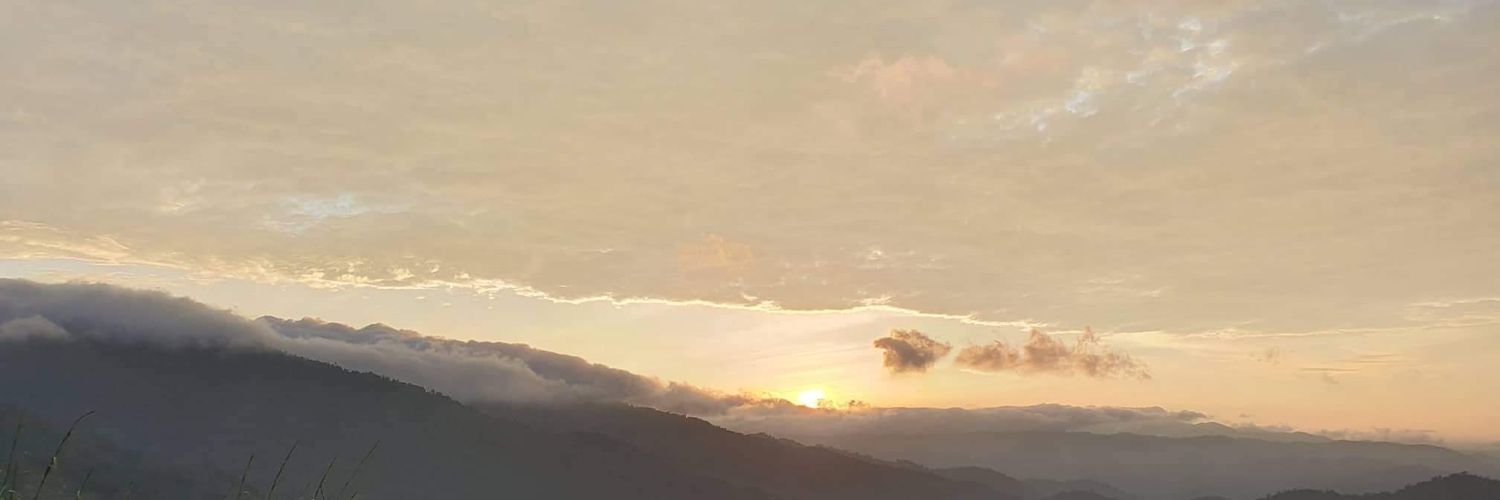 XiaoAhSoon's profile banner image