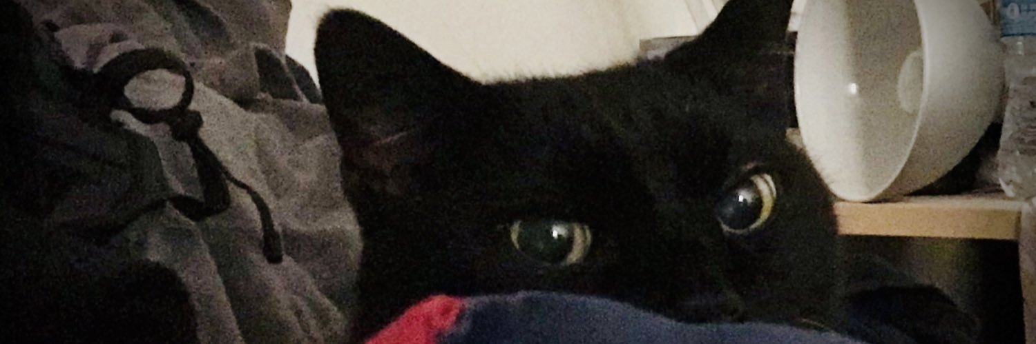 serraleos's profile banner image