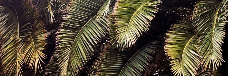 raulH04's profile banner image