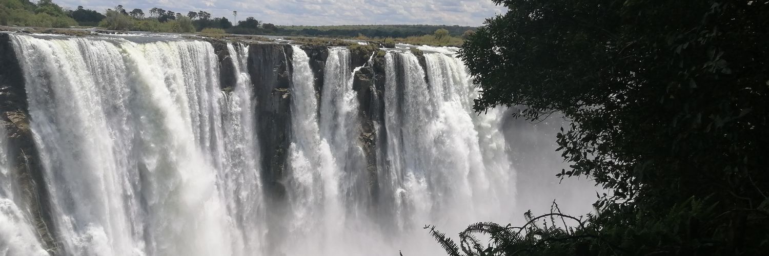 T. Gumbo🇿🇼 banner
