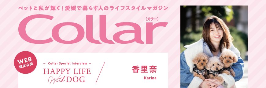 official_collar's profile banner image