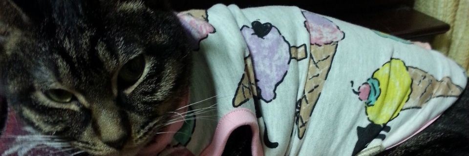 PAM1165's profile banner image