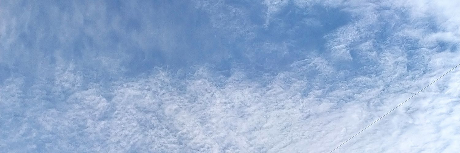 Ser_Schweiger's profile banner image