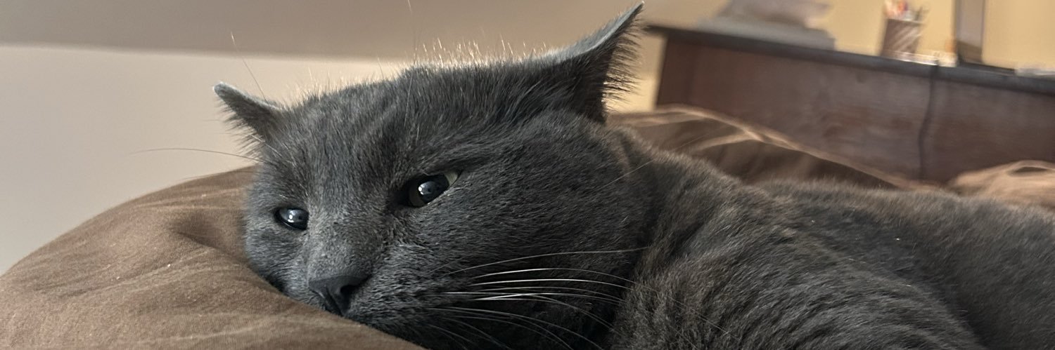 ju_stne's profile banner image