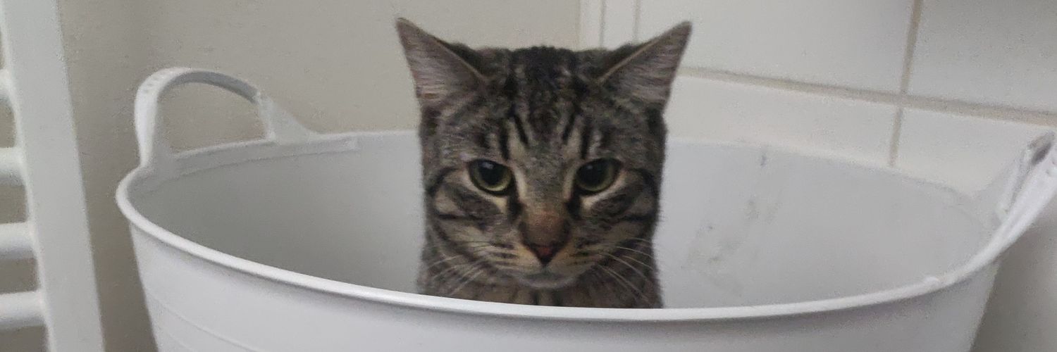 Alexandra Elroy banner