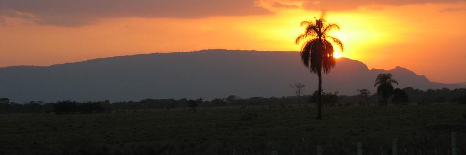 Manuelabreu23's profile banner image
