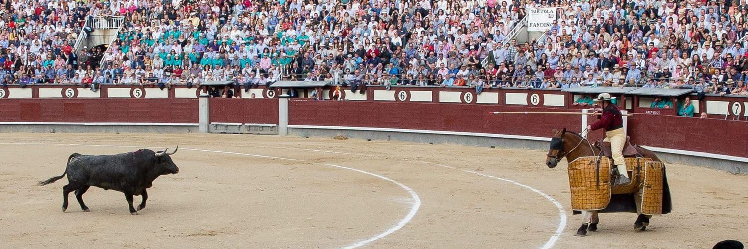 cesaroivan's profile banner image
