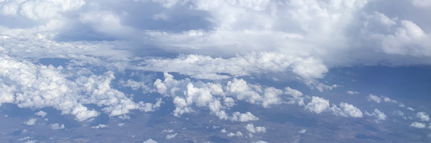 Tavpanda's profile banner image