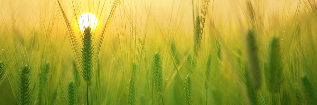 Impulse - Startup Accelerator banner