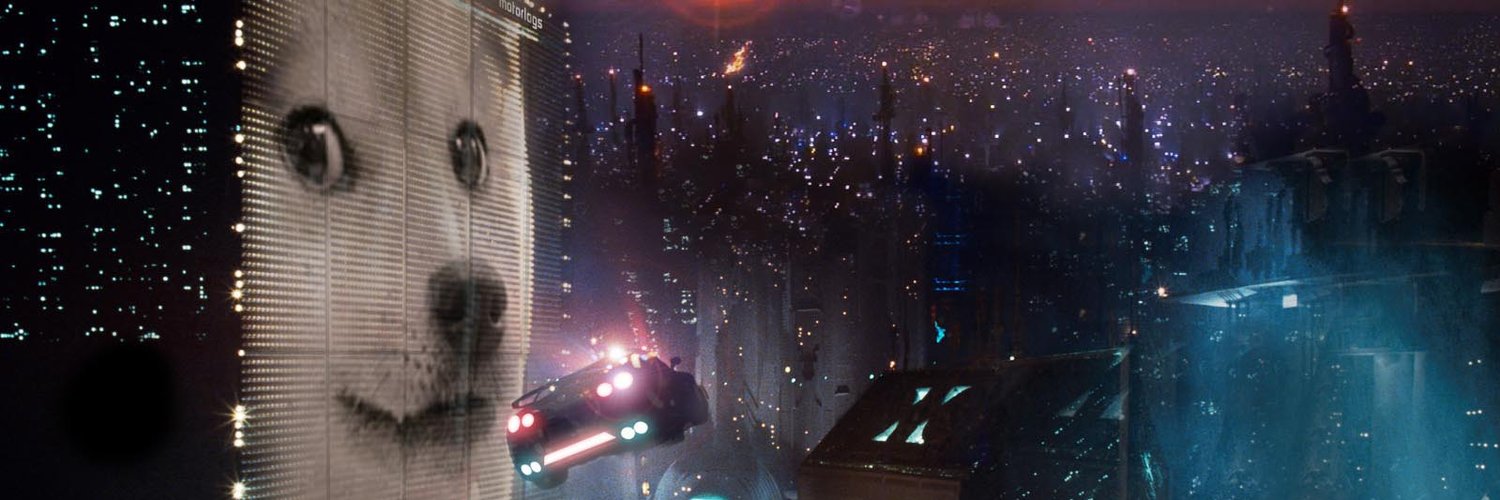 CoinInsider.pl banner