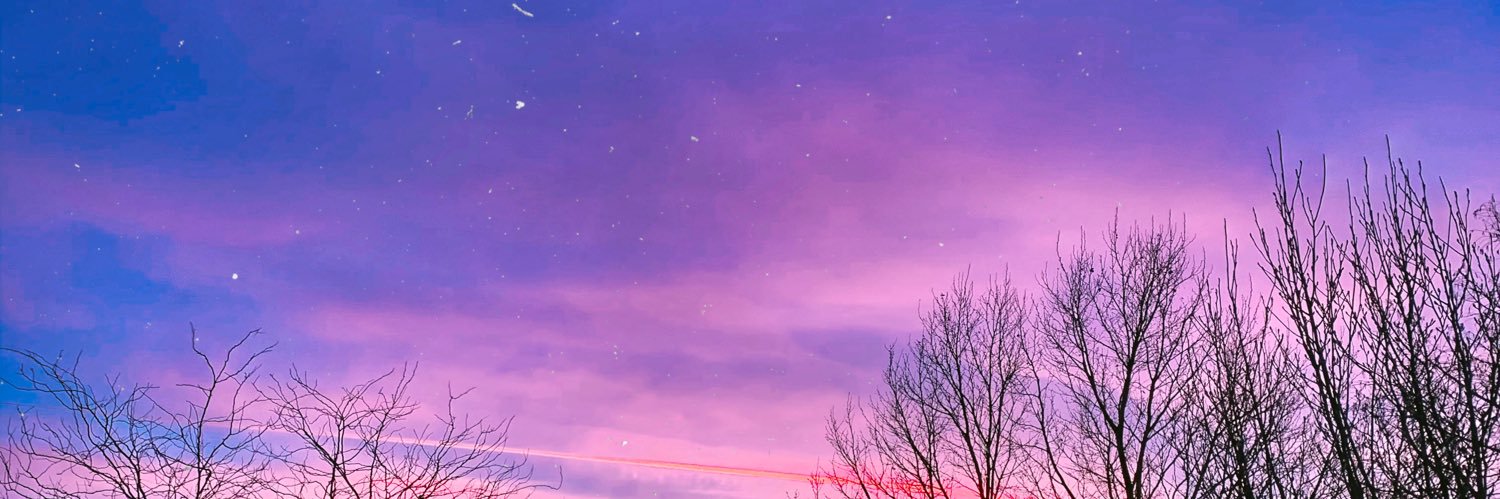 таинственная питса's banner