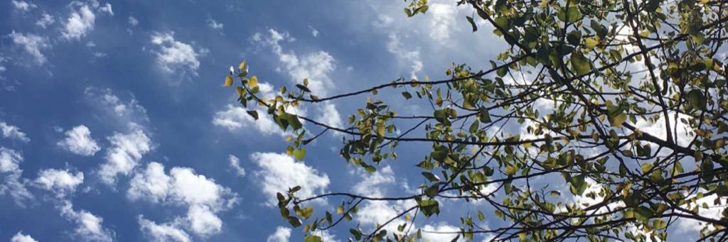 WillAfroMan's profile banner image