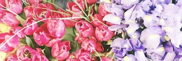 Luli Rossi banner