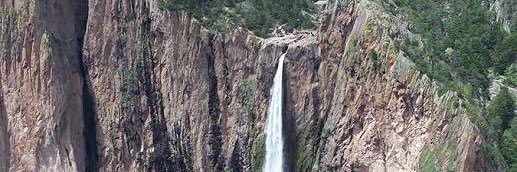 Carolina Rivera banner