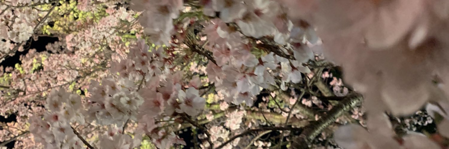 H_IIA31's profile banner image
