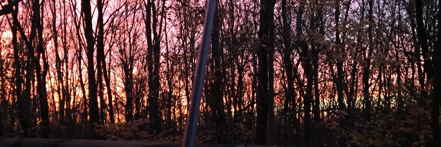zac_wiley9's profile banner image