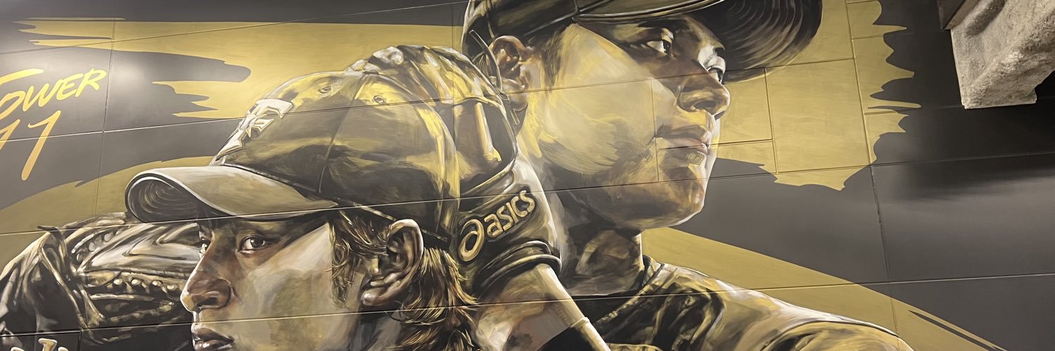 fhiron's profile banner image