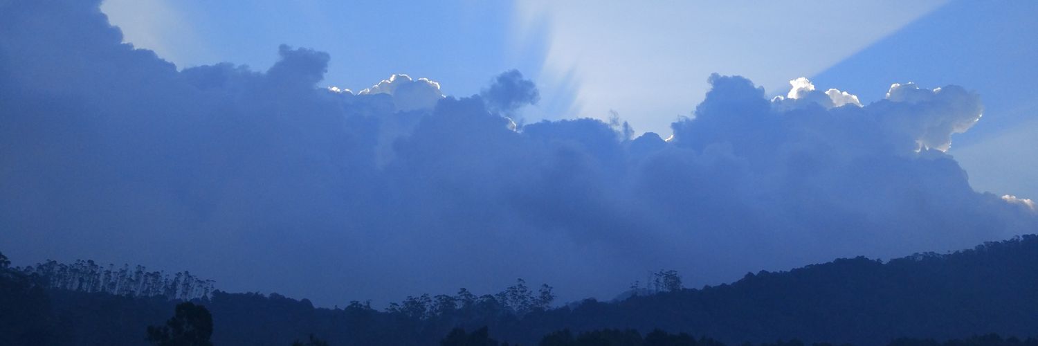citatomax's profile banner image