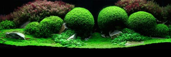 GOULzzz Profile Banner