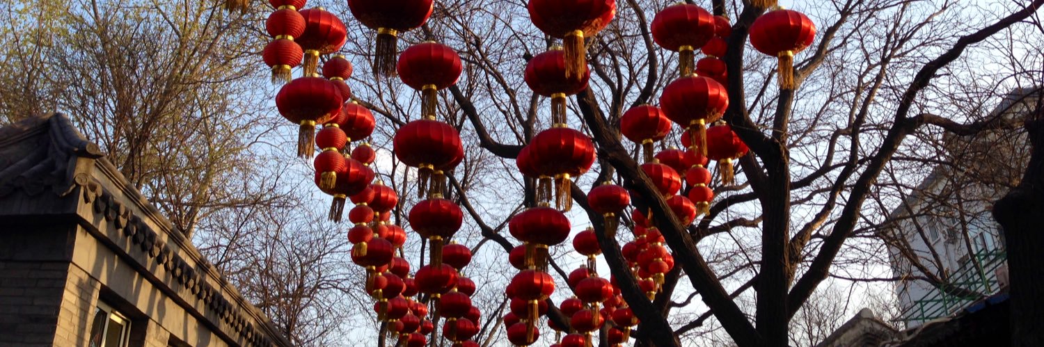 Anna-Katharina Schaper banner