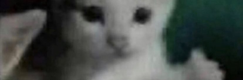 vonlewd's profile banner image