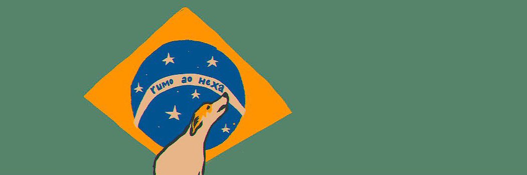 kiwi | 🇧🇷 banner