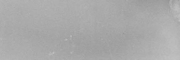 pedroxpascal Profile Banner