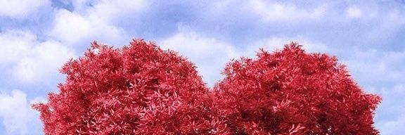 cybog_'s profile banner image